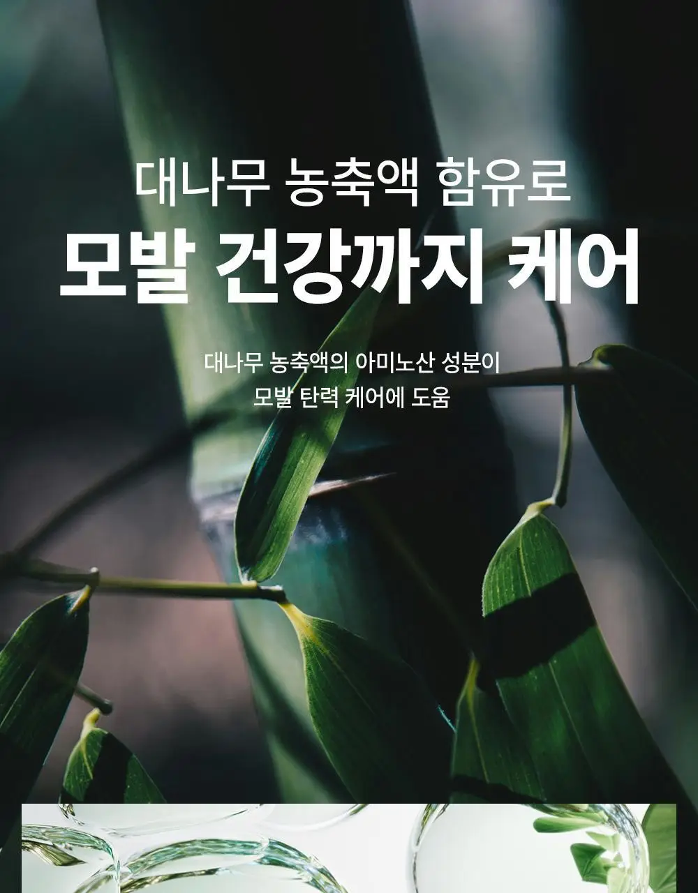 [변우석 Pick]다슈 포 맨 밤부 포레스트 몬스터 하드 스프레이 180ml 단품 상세페이지 21